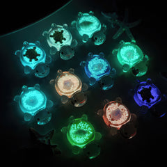 C05 Luminous TurtleDelight